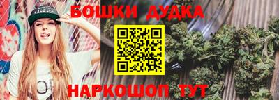 стаф Будённовск