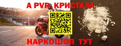стаф Будённовск