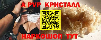 стаф Будённовск