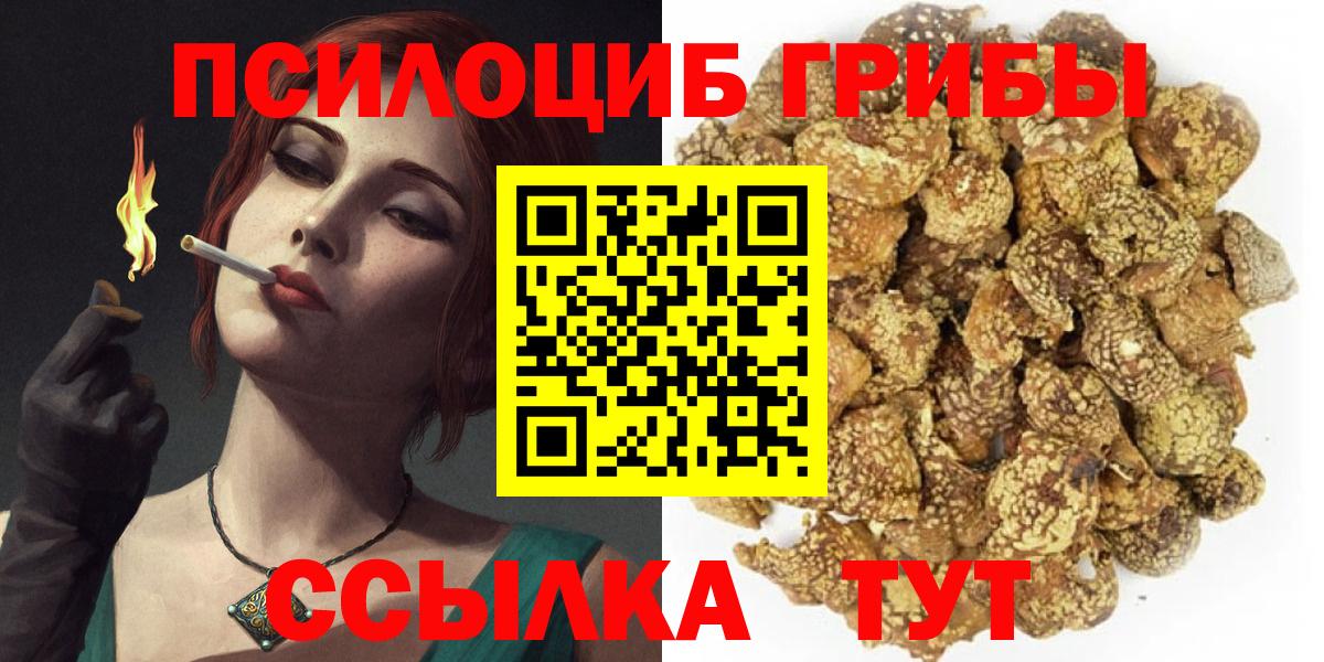 Нерюнгри  Галлюциногенные грибы Cubensis  Вход с VPN 